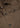 Appearance-An-Ivy-Linen-Safari-Jacket-Jakke-Shirt-Skjortejakke-Overshirt-Brown-Brun-Lommer-Knapper-Herre-Maend-Men-Field